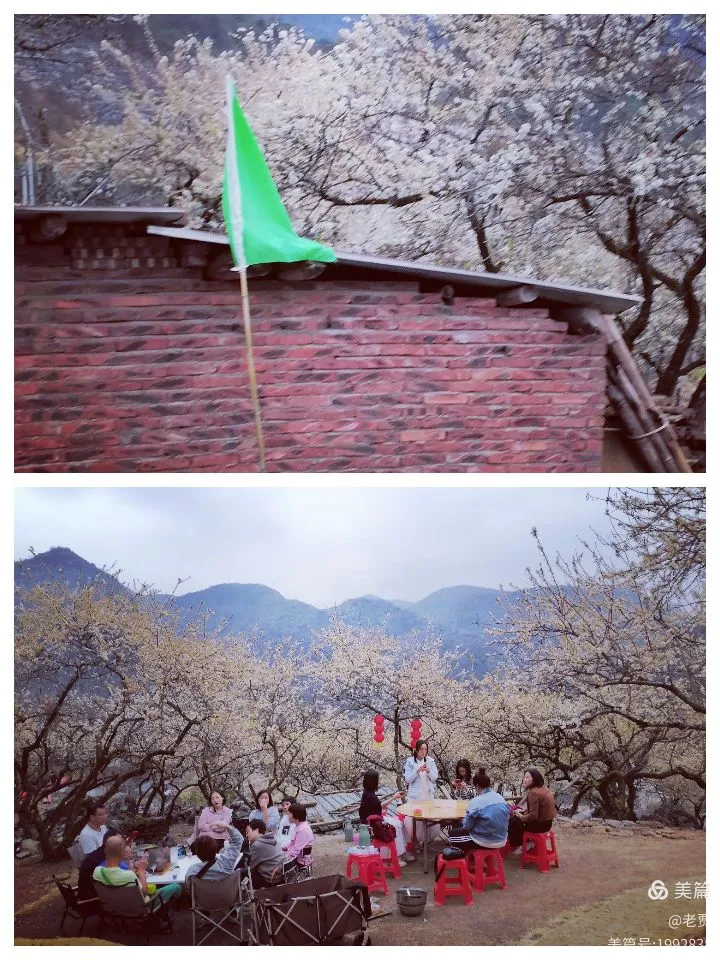 广东阳山杨梅镇水浪花谷李华基地